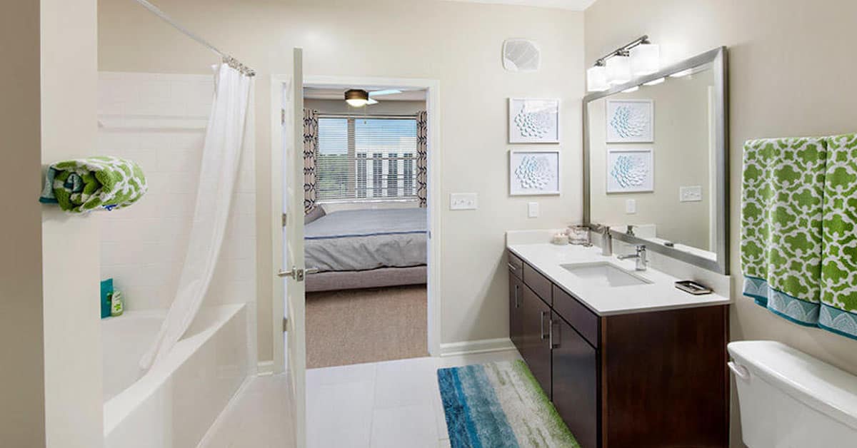 How to Jazz Up Your Bathroom For Under $100?!