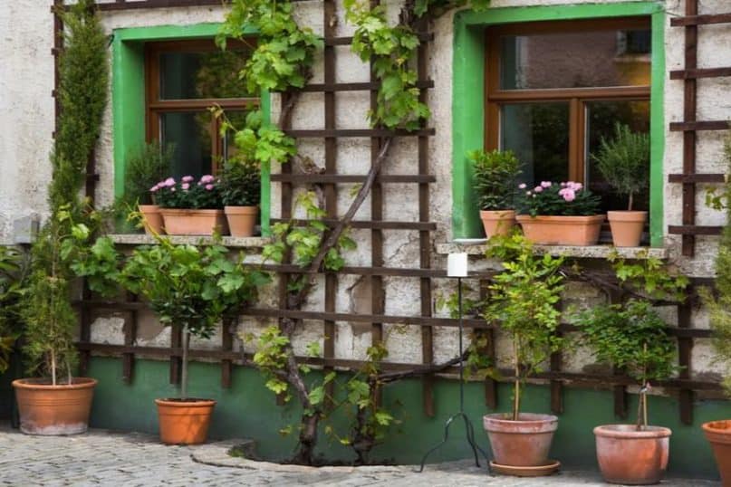 DIY Trellis Hacks to Refresh Your Garden In Spring!